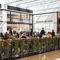 Mall of Emirates Store